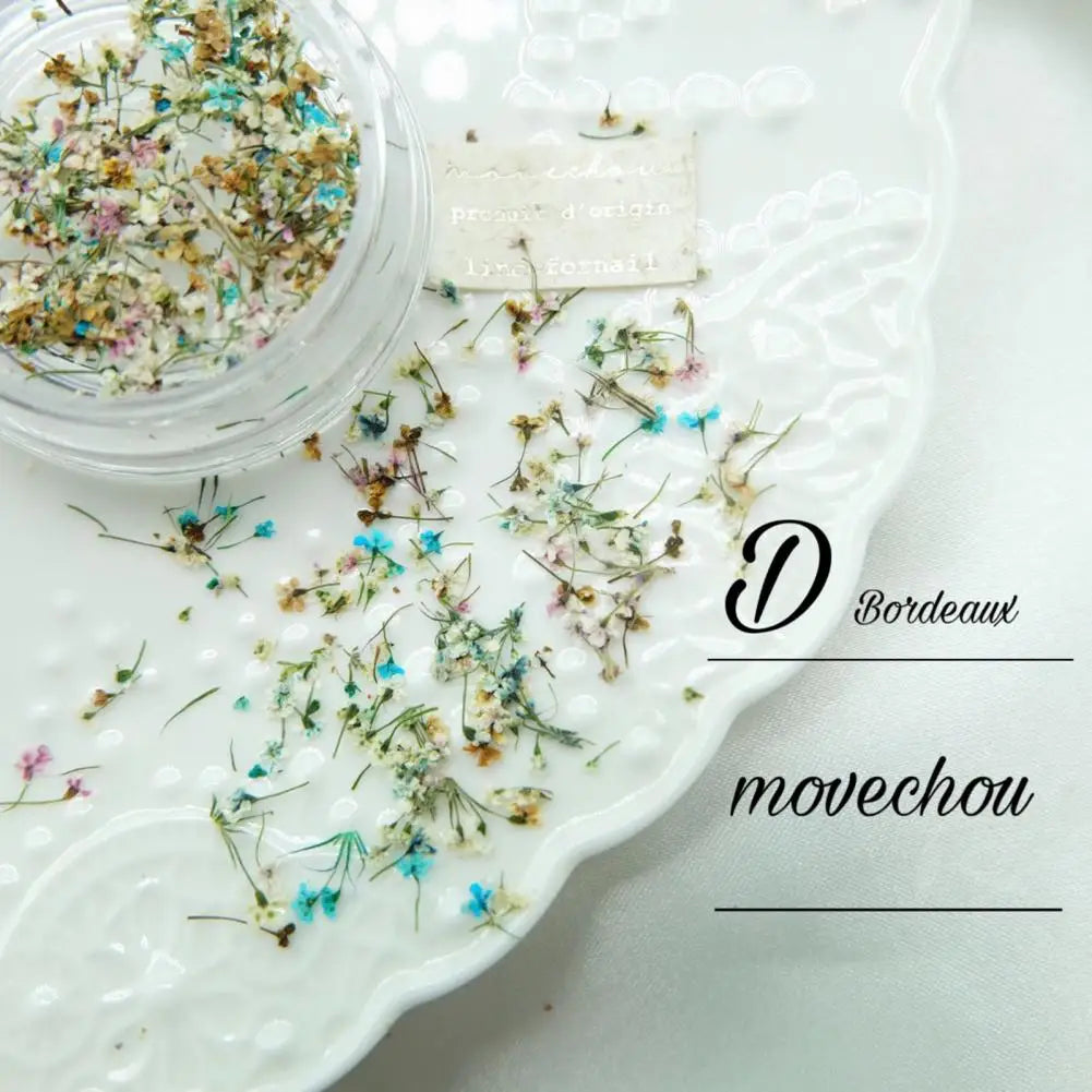 Nail Art Flower Decoration Delicate Dried Flower Nail Art Decorations Exquisite Nail Beauty Nail Art Charm